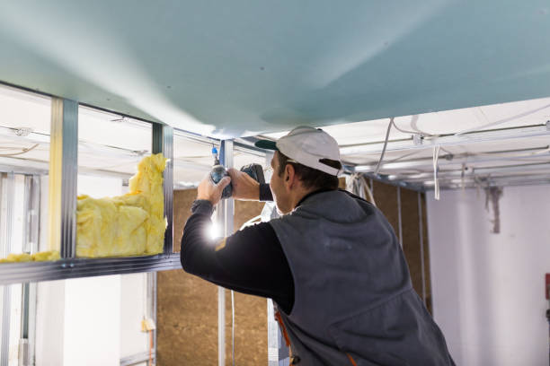 Professional Insulation Contractor in HI