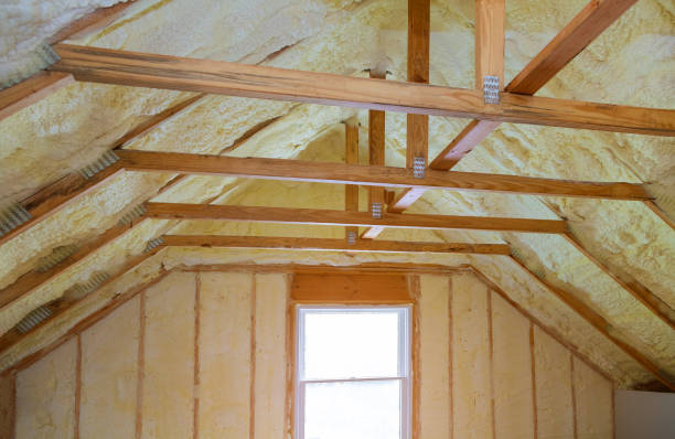 Types of Insulation We Offer in HI