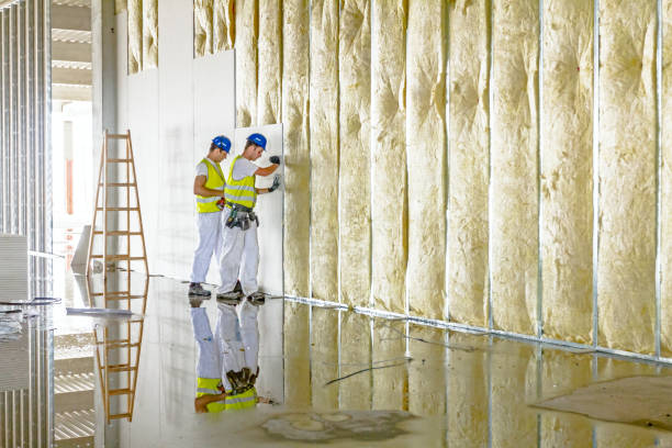 Best Residential Insulation in Heeia, HI